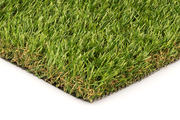 <strong>Ontdek de collectie</strong>