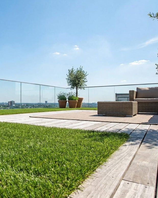 <h2><strong>Dakterras</strong></h2>