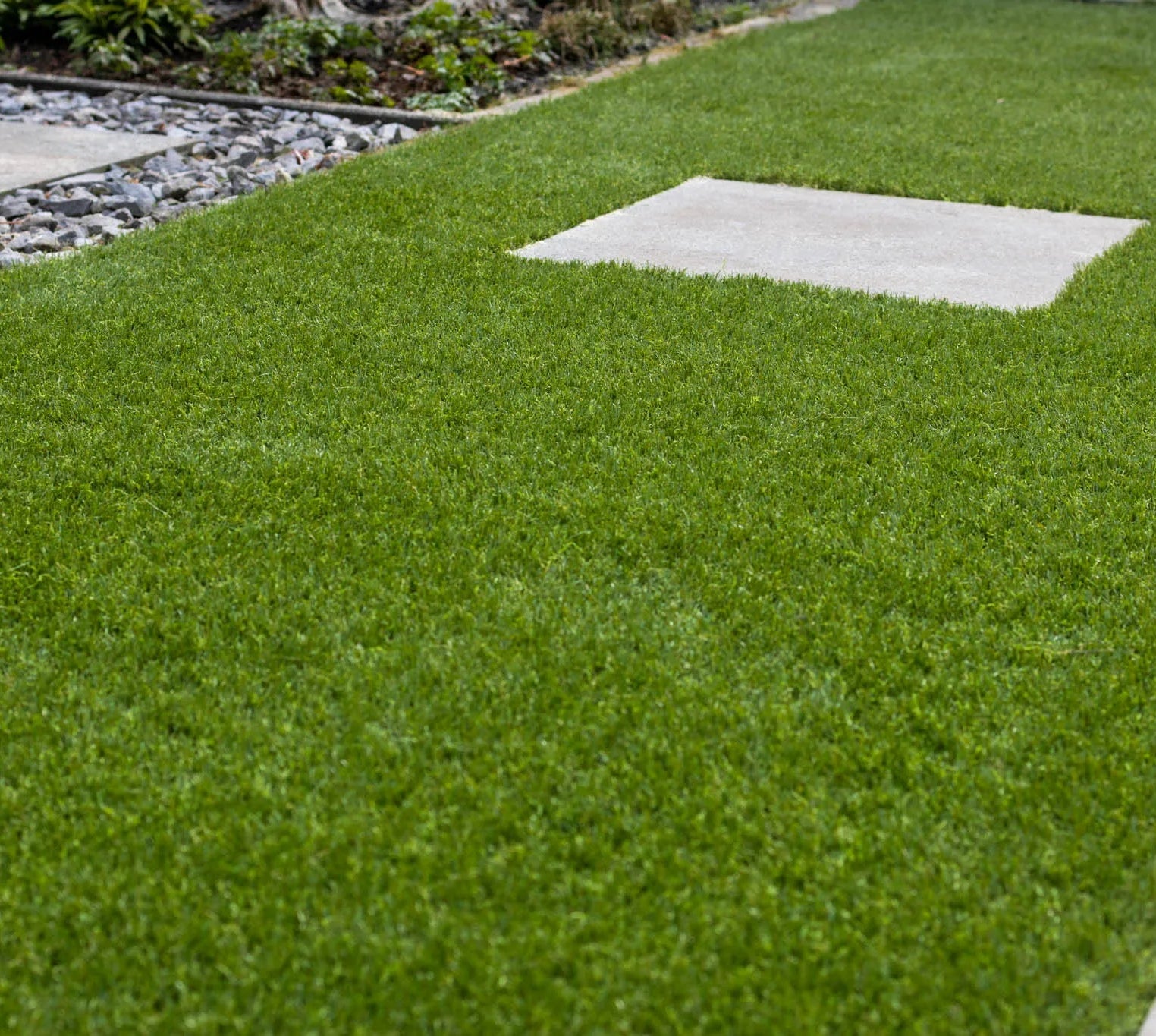 Genieten van een groene tuin